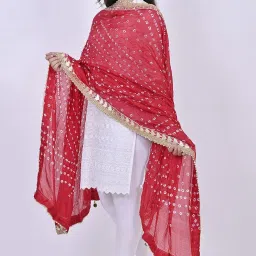 Chiffon Hand Painted Multicolor Women Dupatta-image-96