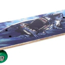 DESIGN SKATEBOARD MEDIUM SIZE 3 inch x 5 inch Skateboard-24