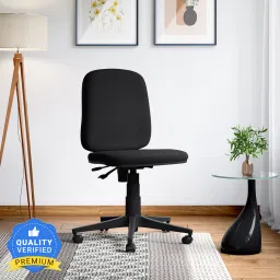 Learn Fabric Study Arm Chair-88