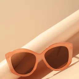 Polarized Wayfarer Sunglasses (Free Size)-image-59