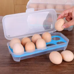 Plastic Egg Container - 10 ml-picture-21