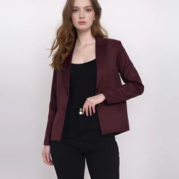 Women Solid Single Breasted Formal Blazer-image-2