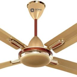 Quadro Ornamental 1 Star 1200 4 Blade Ceiling Fan-image-19