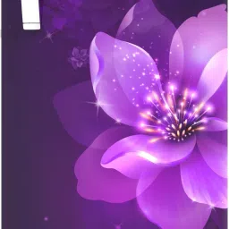 192 L Direct Cool Single Door 3 Star Refrigerator-image-75