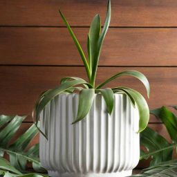 harla arts Pheonix White Porcelain Floor Planters-picture-45