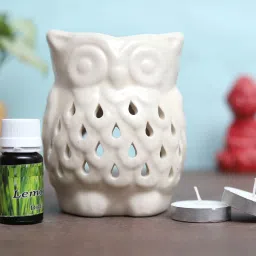 Citrus Diffuser Set-40