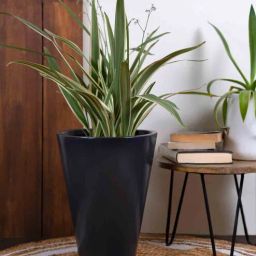 harla arts Love Bite (Large) Black Porcelain Floor Planters-picture-9
