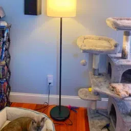 Club Floor Lamp-11