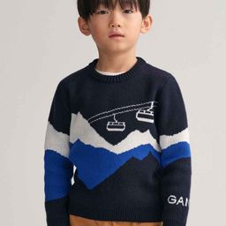 GANT Boys Colourblocked Cotton Pullover Sweaters-48