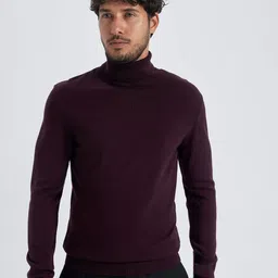 DeFacto Turtle Neck Acrylic Pullover Sweater-image-33