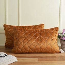 eyda Rust Set of 2 Velvet Rectangle Cushion Covers-24