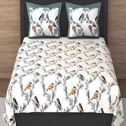 Qfab Blue & White Floral Cotton 144 TC Double King Bedsheet & 2 Pillow Covers-image-82
