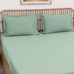House This Sage Green Cotton 600 TC King Bedsheet with 2 Pillow Covers-image-95