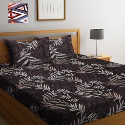 Arrabi Pack Of 2 Printed 300 TC King 2 Bedsheets with 4 Pillow Covers-1