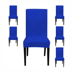 Eleganta Pack of 6 Royal Blue Anti Fade Chair Covers-22