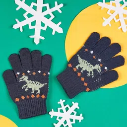 Pantaloons Junior Boys Patterned Acrylic Hand Gloves-picture-19