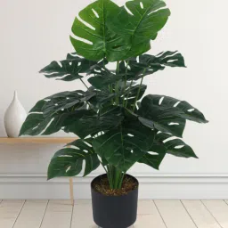 Arick Decor 31 Inch Artificial Real Touch Monstera With Black Pot-picture-2