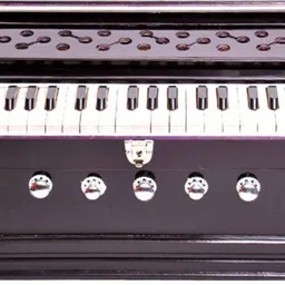 sg musical Harmon833 Octave Harmonium-picture-1
