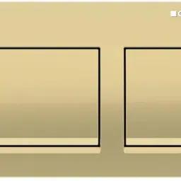 Flush Plate | Brass | 115.045.QE.3 | Compatible with Concealed Cistern | Flush Tank Lever-44