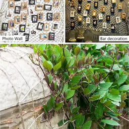 wne jaliwale Jute Plant Climbing net & Jute Plant Trellis Netting Creeper Net - 6feet x 6feet Hiking Net image 4