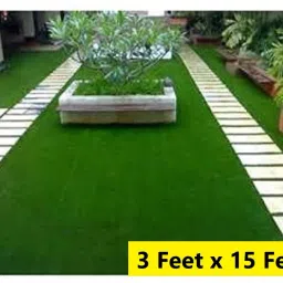 Green Polypropylene Carpet-37