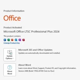 MICROSOFT Office Professional Plus 2024 for Lifetime (1 User/PC) Activation Key Card image 3