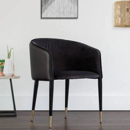 casacraft from pepperfry Coolins Velvet Arm Chair In Black Colour-picture-26