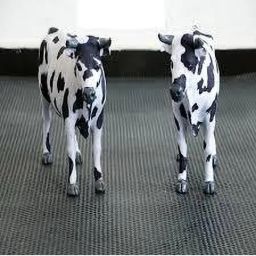 Cow Mat Waterproof Rubber Mat_8*5_Feet BPA Free For Horse Cow, Dog, Hamster, Guinea Pig, Miniature Pig Pet Mat-image-80