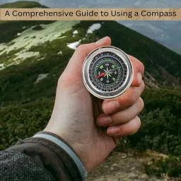 Compass For Right Direction Compass-picture-22