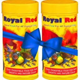 Royal Red Natural Feed, 40%Protein, Easy Digestion, All Fish, Color Boost bundle 0.2 kg (2x0.1 kg) Dry Adult, Young, New Born, Senior Fish Food-19