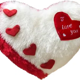 Microfibre Quotes Cushion Pack of 1-21