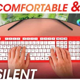 ZEBRONICS Zeb Judwaa 541 Wired USB Tenkeyless Multi-device Keyboard Compatible with Desktop, iPad, Laptop, Mac, Tablet image 3