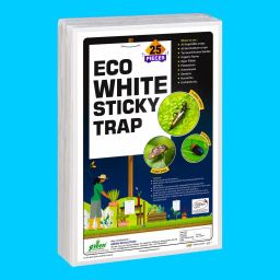 A4 ECO White Sticky Trap For Garden and Farm, To control, Red Mites, Fly Insect.-image-95