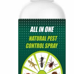 Pest Control & Insect Repellent Spray For Rat, Cockroach, Lizard, Ant, Mosquito-image-60
