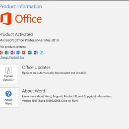 MICROSOFT Office Professional Plus 2019 & Windows 10 Pro (1 User/PC, Lifetime Validity) image 5