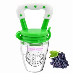 Medium Fresh Food Nibbler Fruit Feeder Silicon Nipple Pacifier Color Green Pack of 1 Teether and Feeder-6