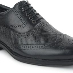 HOL-125E Formal Shoes With PU Sole | Lightweight & Comfortable Lacing Brogues For Men-image-52