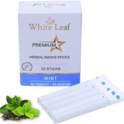 Nicotine-Free Premium Herbal Cigarette Mint Flavour Pack of 1(20 Sticks) Smoking Cessations-image-87