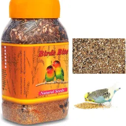 Star Frams Birds Bite Natural Seed Mix 1 kg Dry Adult, New Born, Senior, Young Bird Food-image-3