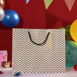 Printed Party Bag-19