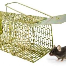 Rat Trapping Cage Live Trap , Pinjra , Chuhaa Trap Iron Live Trap , for Rat, Live Trap-picture-12