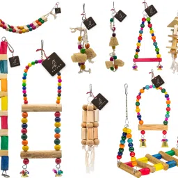 Bird Toys Combo Of 10 Cage Accessory For budgies, & All Big Birds & Parrots Wooden Chew Toy, Training Aid, Perch For Bird-image-77