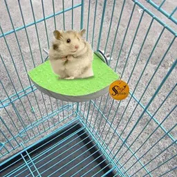 Natural Wood Platform of Sand, Healthy Nail, Teeth Trimming of Hamster (8inch) Wooden Training Aid, Stick For Hamster-picture-19