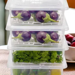 Plastic 2400ml Fridge Storage Container for Fruit, Fish, Vegetables, Food Storage Basket-image-2