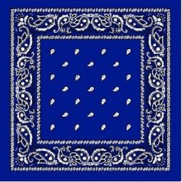 Bismaadh Unisex Paisley Hanky For All Ages -Royal Blue ["Royal Blue"] Handkerchief-image-85