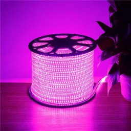 3 m Pink Rice Lights-13