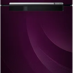 314 L Frost Free Double Door 2 Star Refrigeratorwith Curd Maestro-image-77