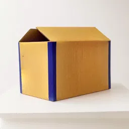 Corrugated Cardboard Strong and Durable 5 Ply Corrugated Packing Boxes – 12 x 12 x 12 Inches Packaging Box-image-76
