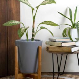 harla arts Love Bite (Medium) Grey Porcelain Floor Planters With Stand-picture-21