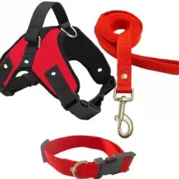 Dog Harness + Leash + Collar With Strong Holder to Lift with Chokefree Comfort Dog & Cat Harness & Leash-image-14